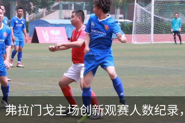 弗拉门戈主场创新观赛人数纪录，本赛季总人次超过百万